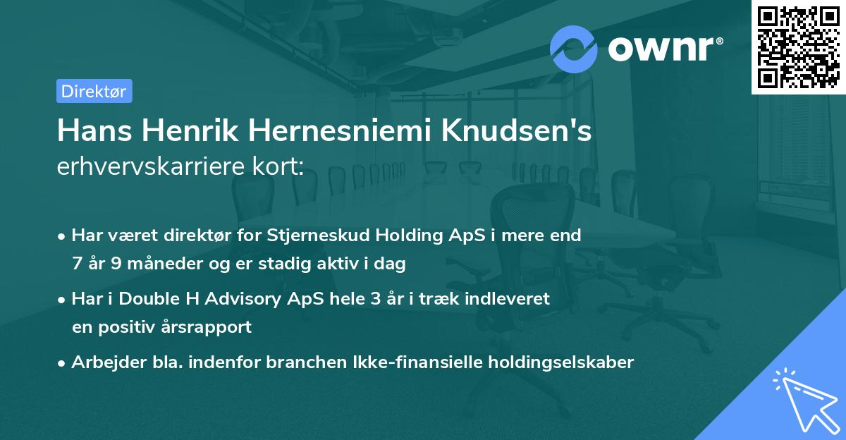 Hans Henrik Hernesniemi Knudsen's erhvervskarriere kort