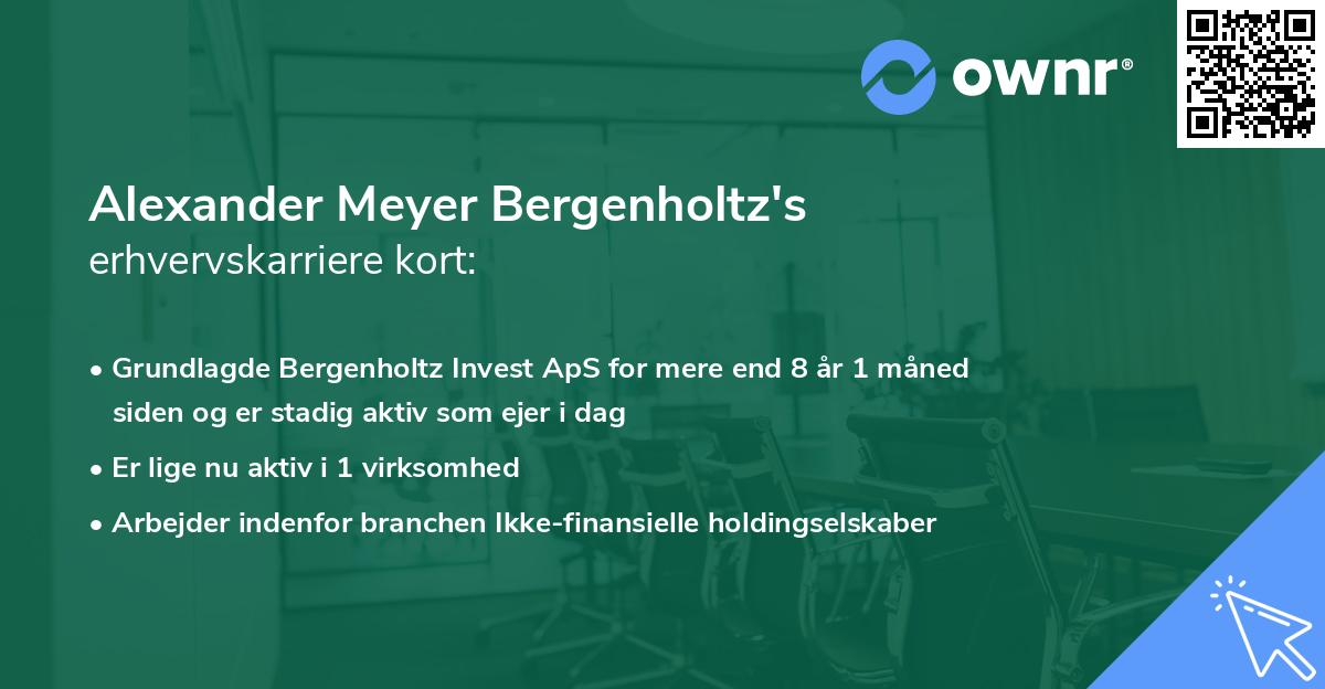 Alexander Meyer Bergenholtz's erhvervskarriere kort