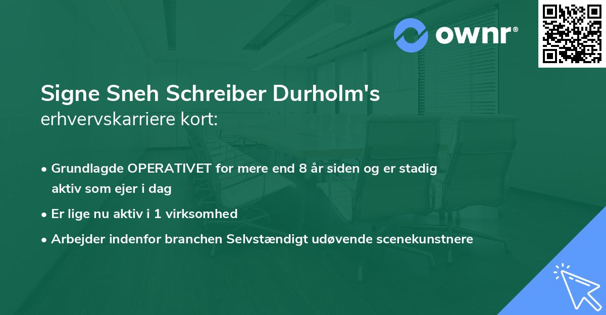 Signe Sneh Schreiber Durholm's erhvervskarriere kort