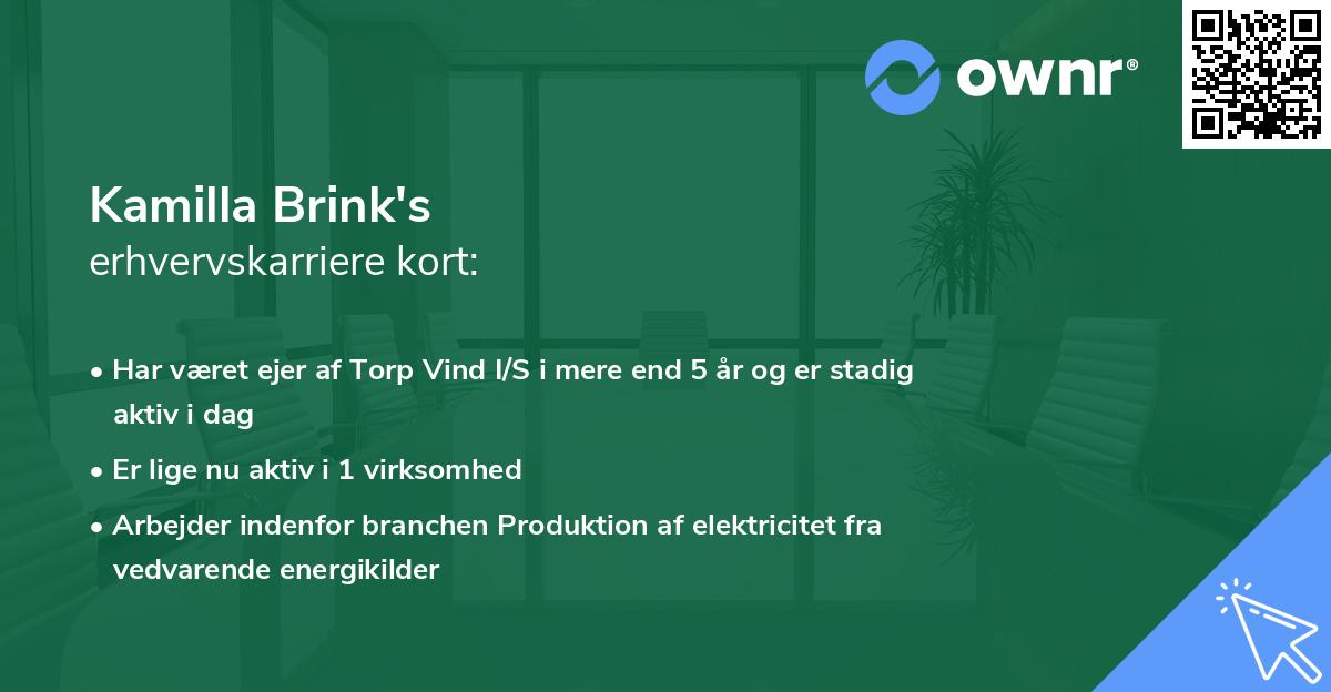 Kamilla Brink's erhvervskarriere kort