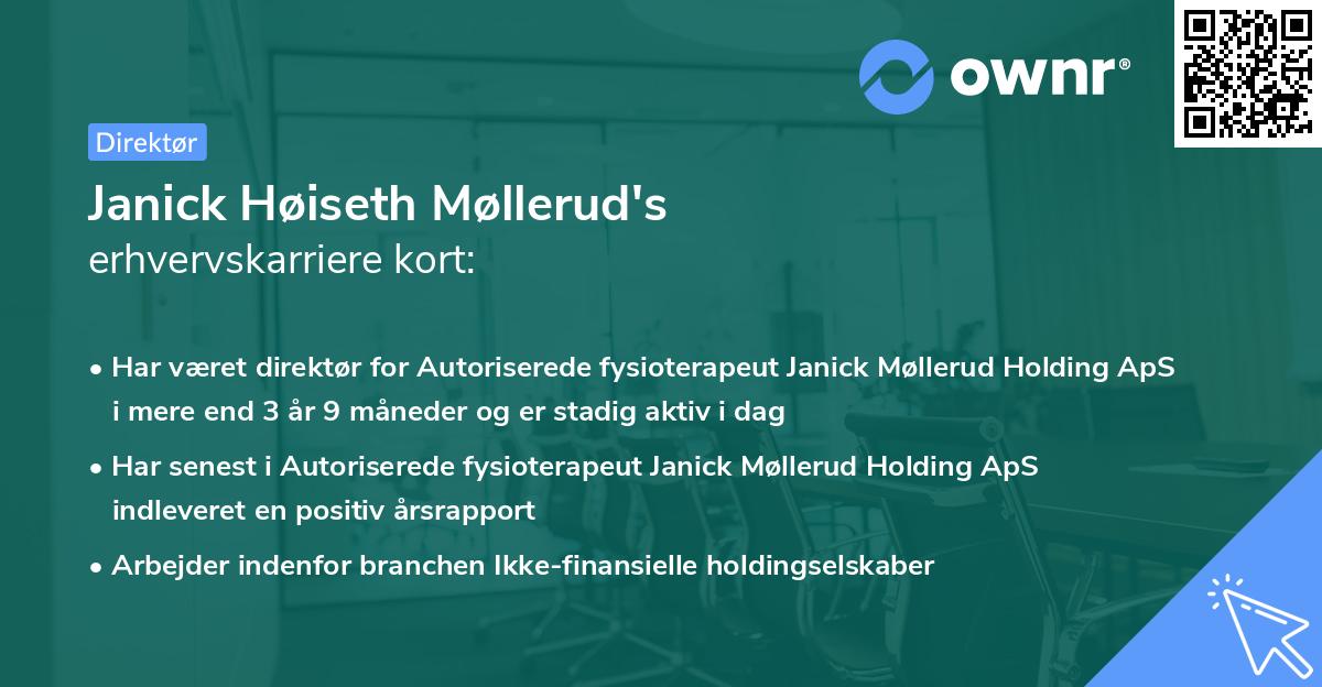Janick Høiseth Møllerud's erhvervskarriere kort