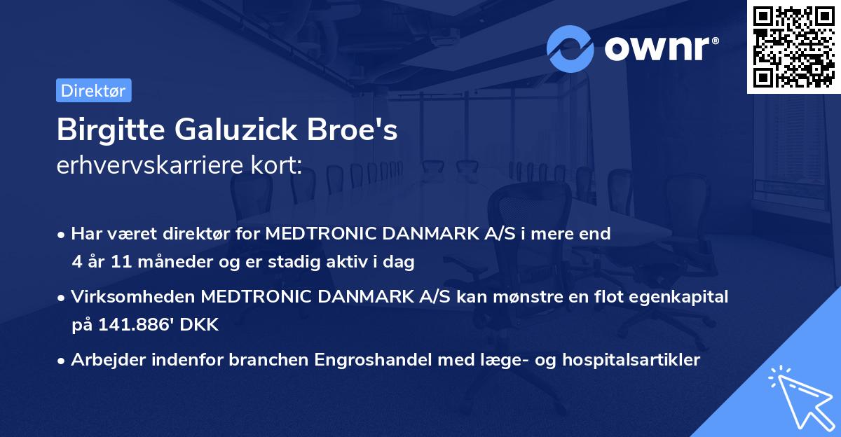 Birgitte Galuzick Broe's erhvervskarriere kort