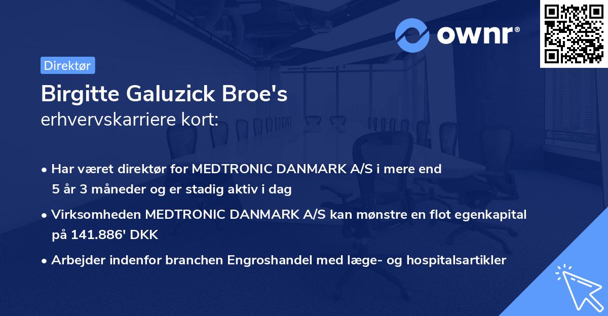 Birgitte Galuzick Broe's erhvervskarriere kort
