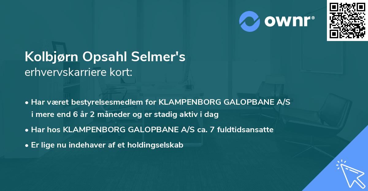 Kolbjørn Opsahl Selmer's erhvervskarriere kort