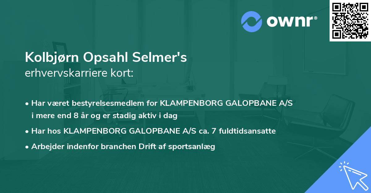 Kolbjørn Opsahl Selmer's erhvervskarriere kort