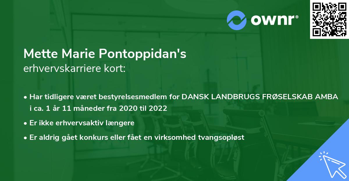 Mette Marie Pontoppidan's erhvervskarriere kort