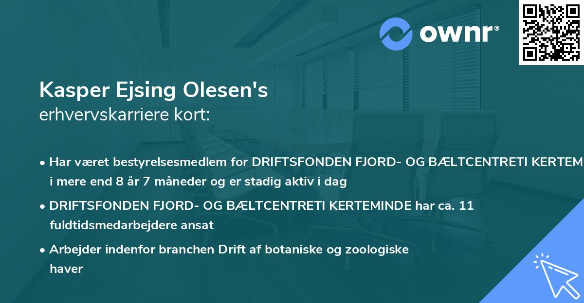 Kasper Ejsing Olesen's erhvervskarriere kort