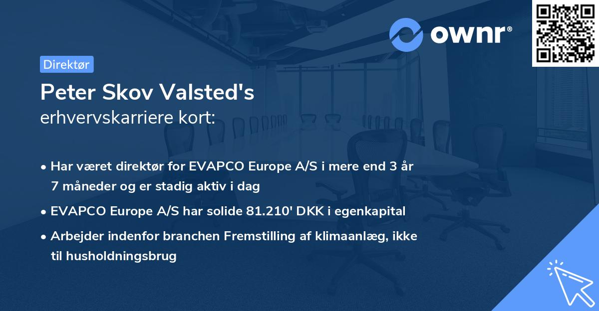 Peter Skov Valsted's erhvervskarriere kort