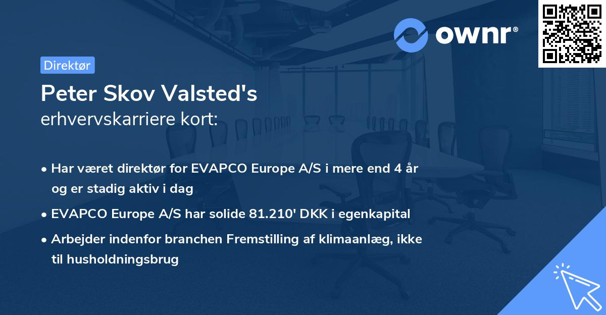 Peter Skov Valsted's erhvervskarriere kort