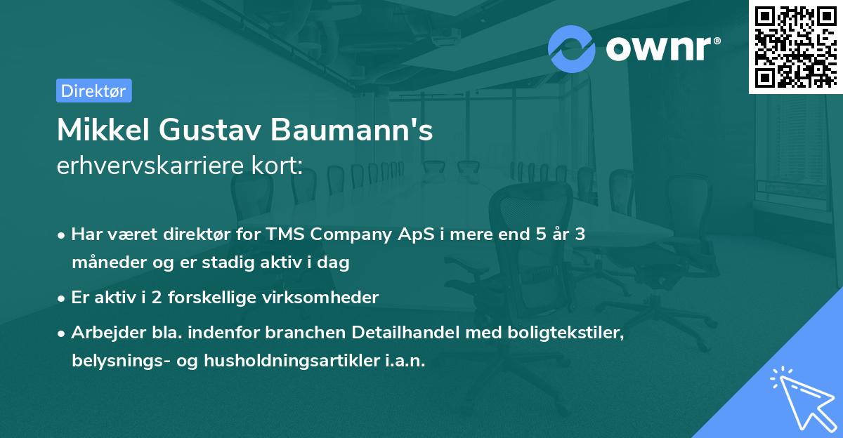 Mikkel Gustav Baumann's erhvervskarriere kort
