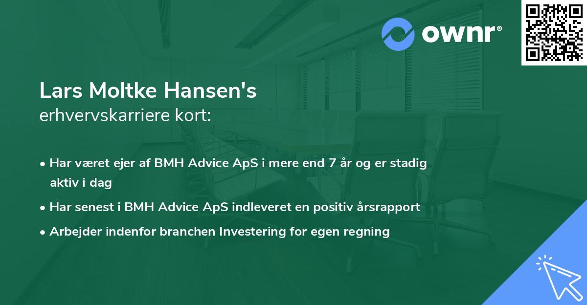 Lars Moltke Hansen's erhvervskarriere kort