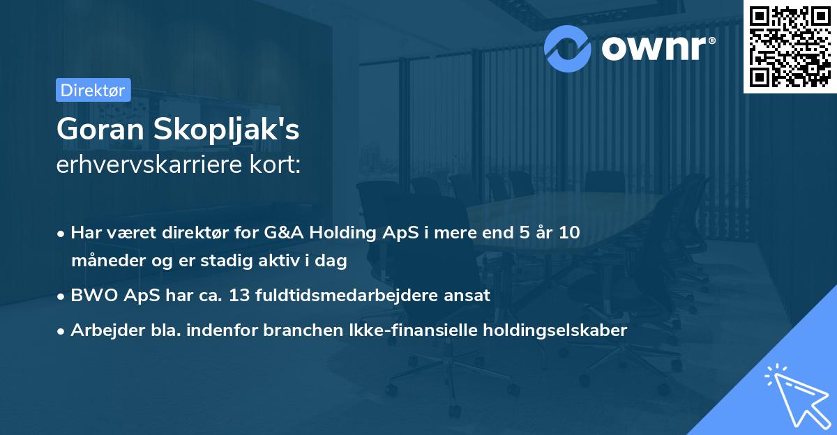 Goran Skopljak's erhvervskarriere kort