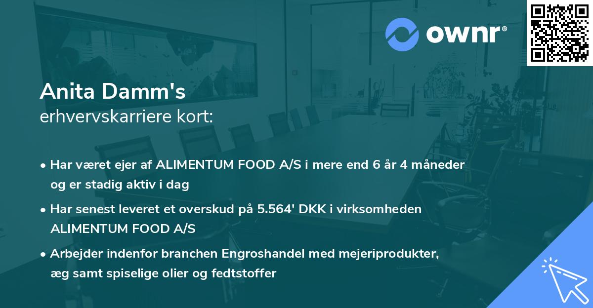 Anita Damm's erhvervskarriere kort