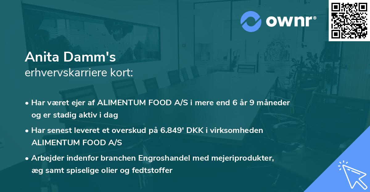 Anita Damm's erhvervskarriere kort