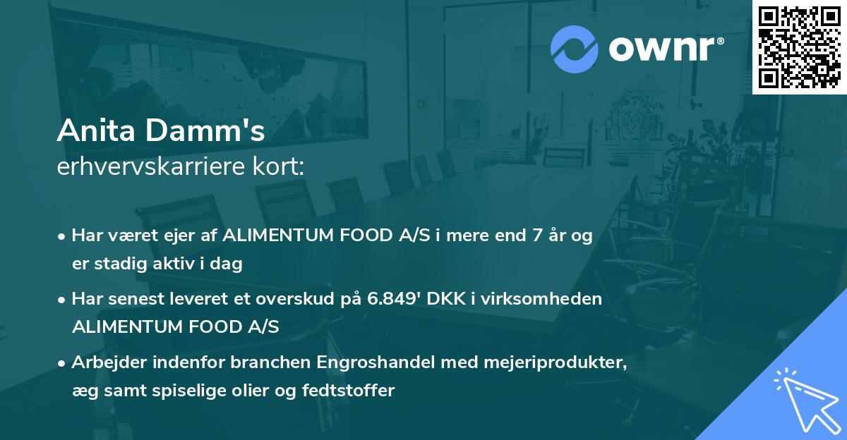 Anita Damm's erhvervskarriere kort