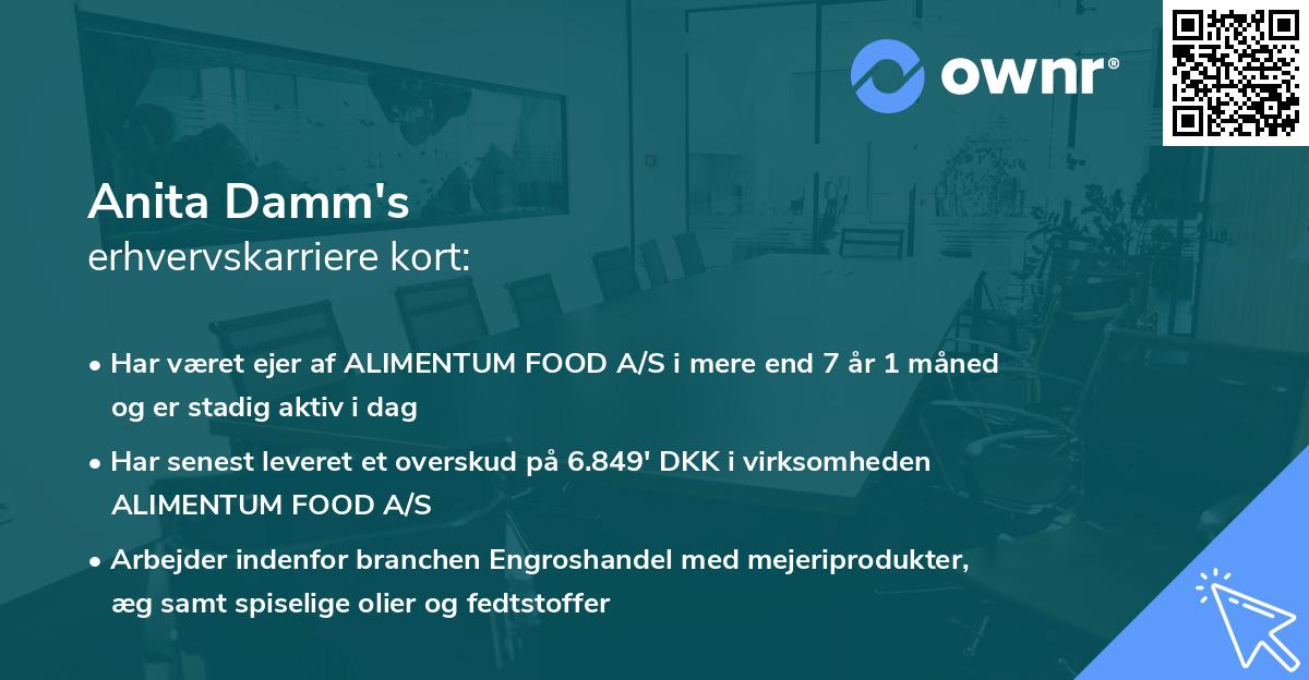 Anita Damm's erhvervskarriere kort