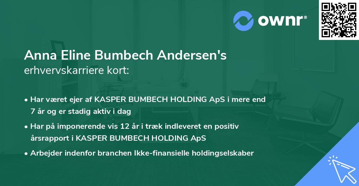 Anna Eline Bumbech Andersen's erhvervskarriere kort