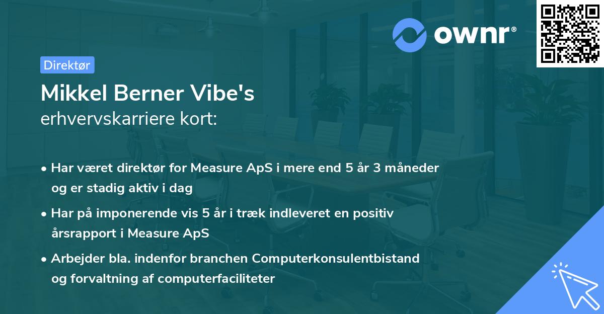 Mikkel Berner Vibe's erhvervskarriere kort