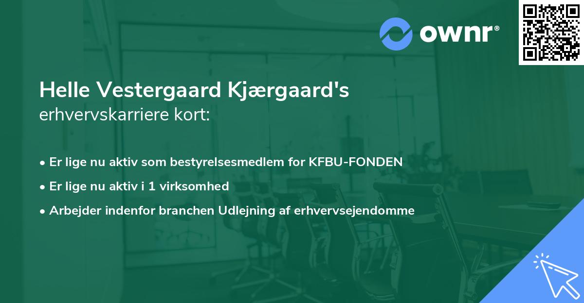 Helle Vestergaard Kjærgaard's erhvervskarriere kort