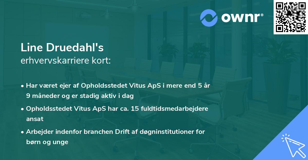 Line Druedahl's erhvervskarriere kort