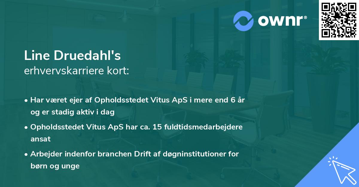 Line Druedahl's erhvervskarriere kort