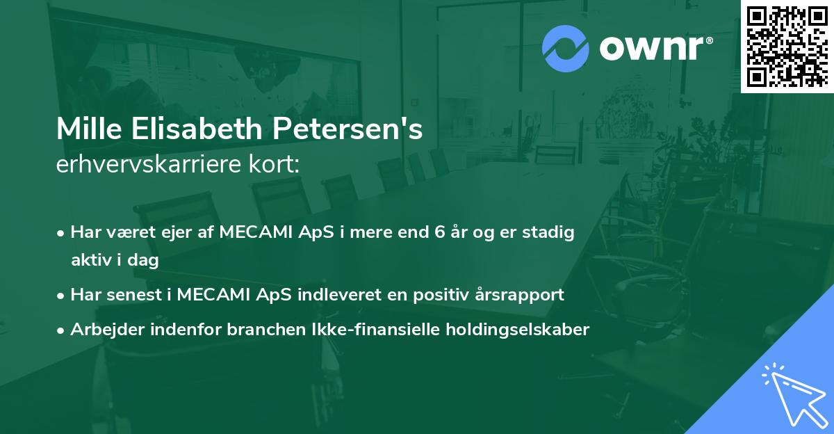 Mille Elisabeth Petersen's erhvervskarriere kort