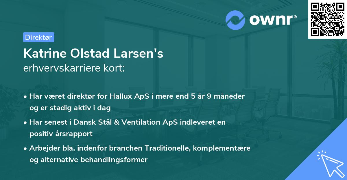 Katrine Olstad Larsen's erhvervskarriere kort