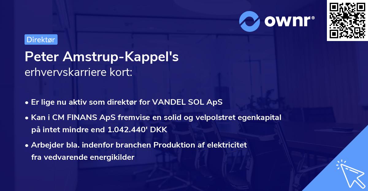 Peter Amstrup-Kappel's erhvervskarriere kort
