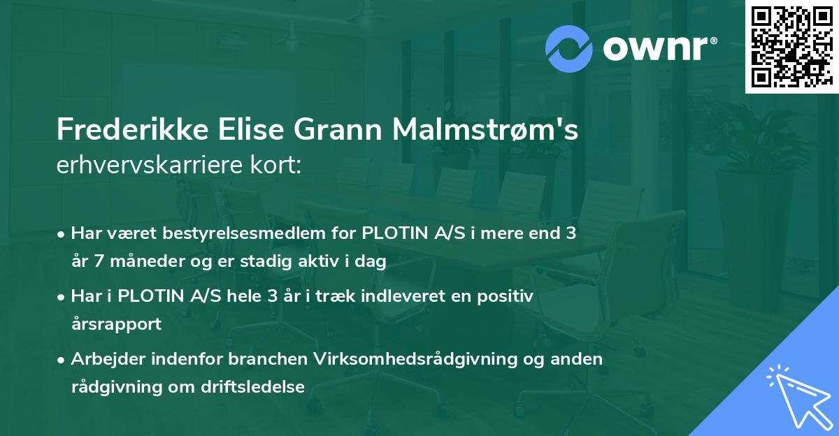 Frederikke Elise Grann Malmstrøm's erhvervskarriere kort