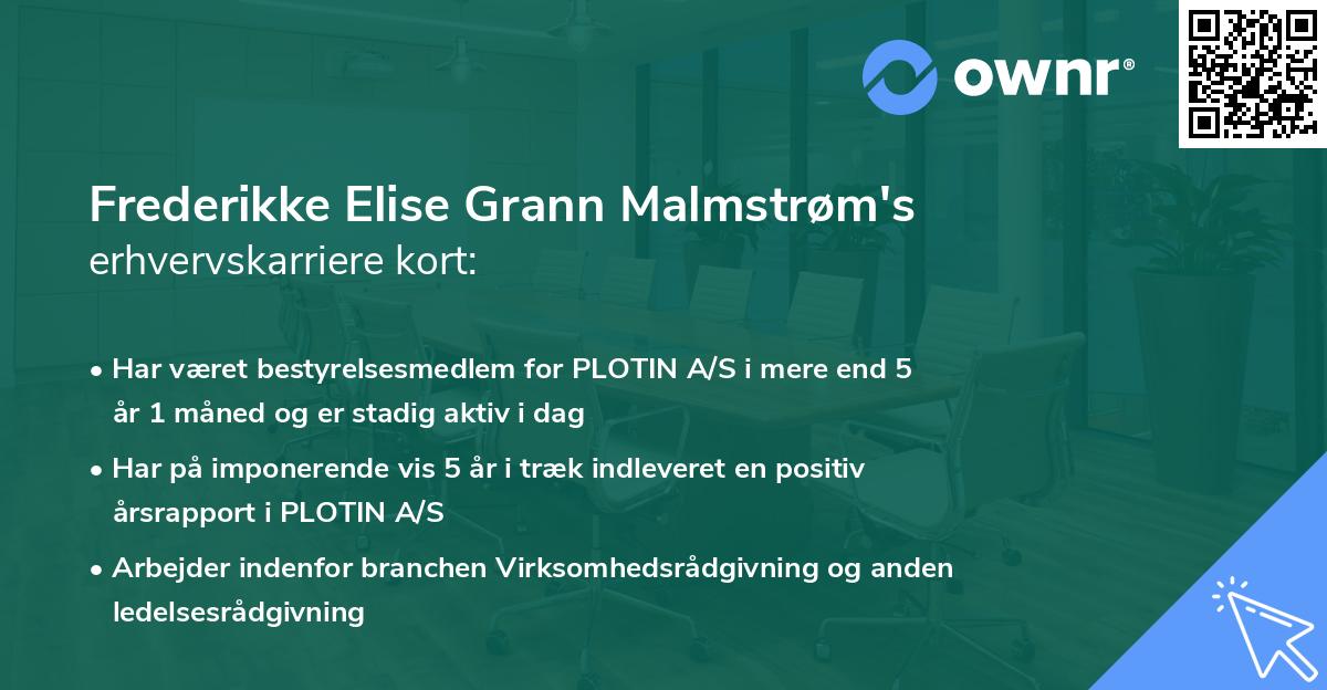 Frederikke Elise Grann Malmstrøm's erhvervskarriere kort