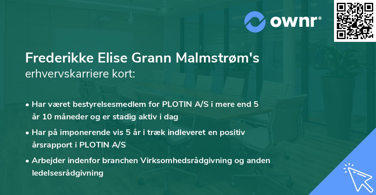 Frederikke Elise Grann Malmstrøm's erhvervskarriere kort