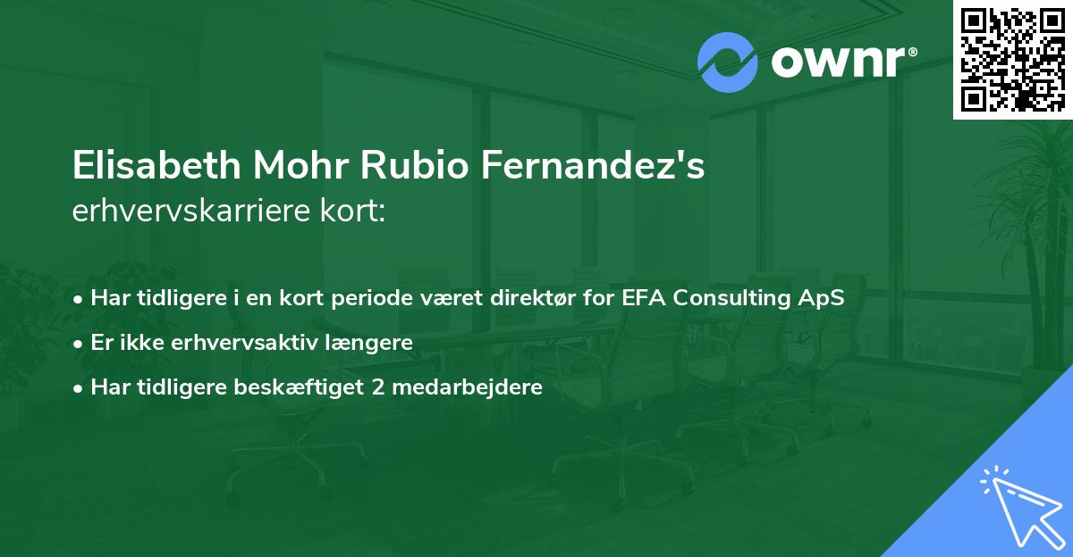 Elisabeth Mohr Rubio Fernandez's erhvervskarriere kort
