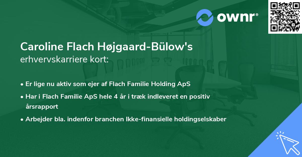 Caroline Flach Højgaard-Bülow's erhvervskarriere kort