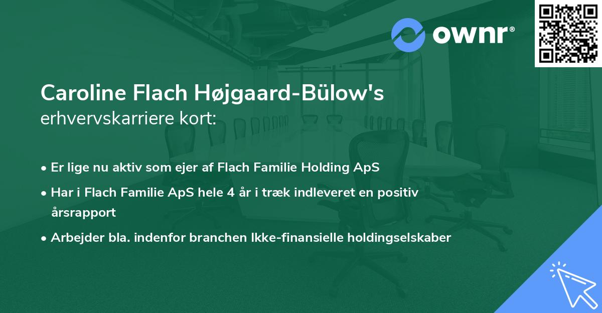 Caroline Flach Højgaard-Bülow's erhvervskarriere kort