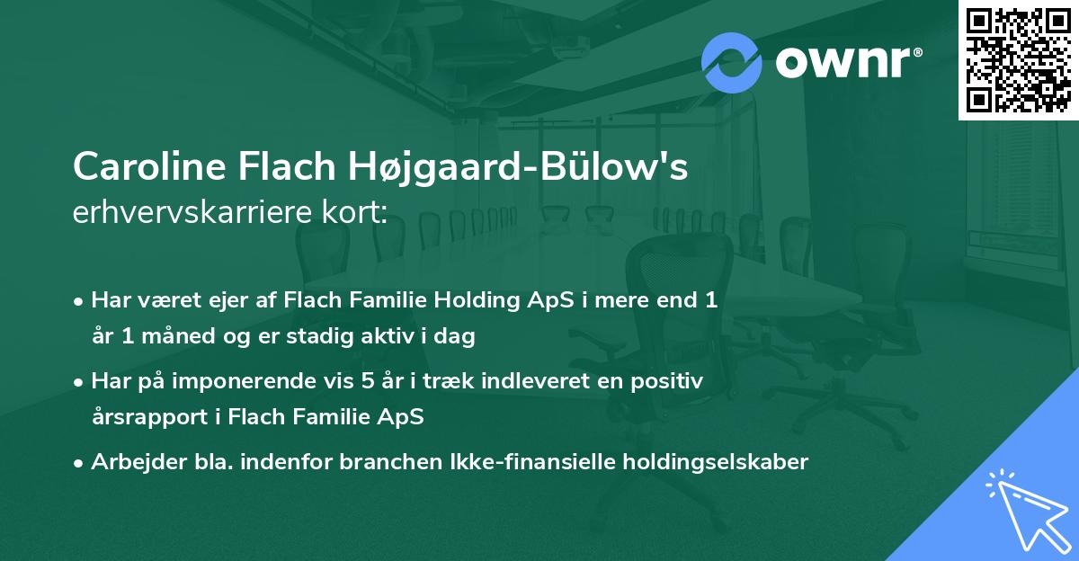 Caroline Flach Højgaard-Bülow's erhvervskarriere kort
