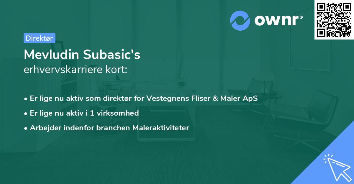 Mevludin Subasic's erhvervskarriere kort