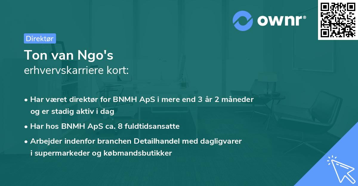 Ton van Ngo's erhvervskarriere kort