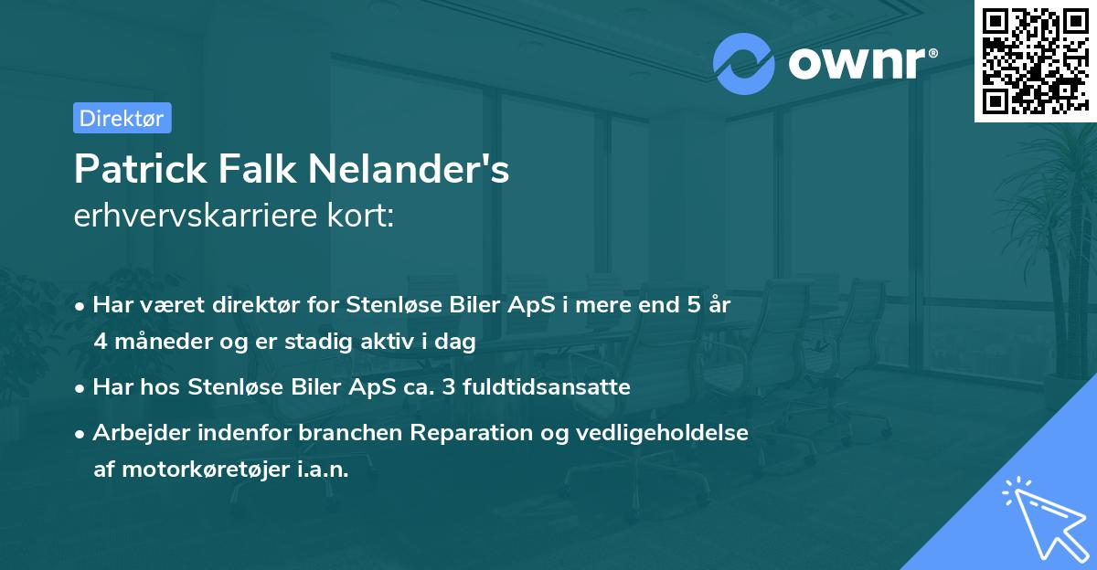 Patrick Falk Nelander's erhvervskarriere kort