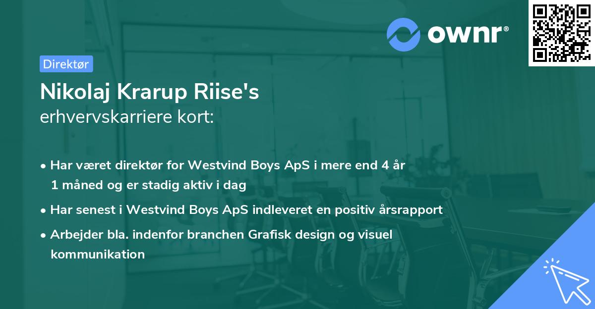 Nikolaj Krarup Riise's erhvervskarriere kort