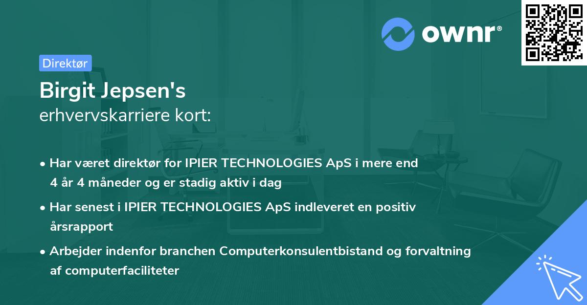 Birgit Jepsen's erhvervskarriere kort