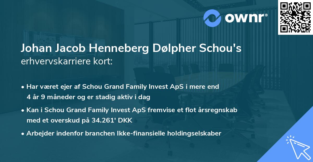 Johan Jacob Henneberg Dølpher Schou's erhvervskarriere kort