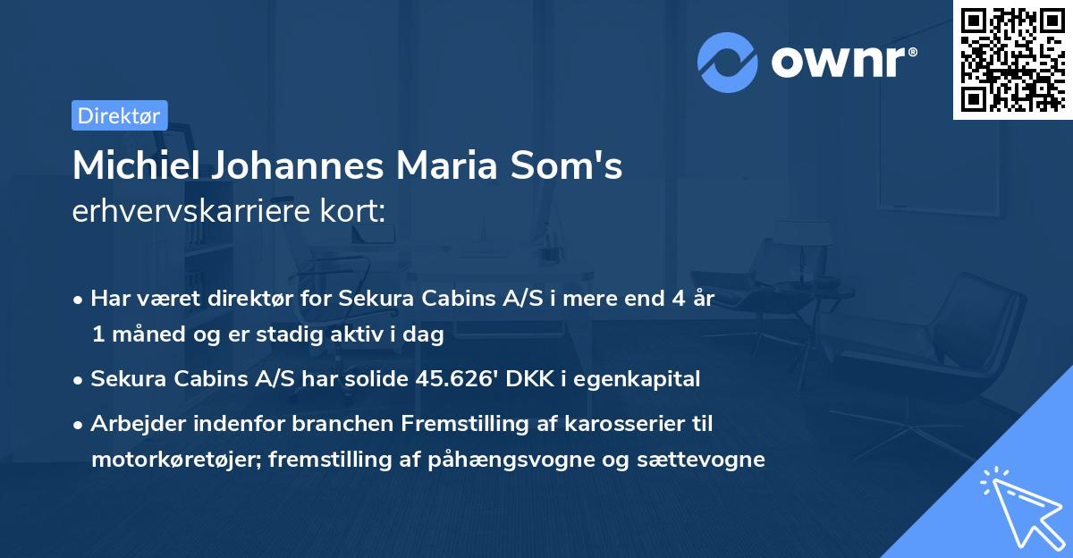 Michiel Johannes Maria Som's erhvervskarriere kort