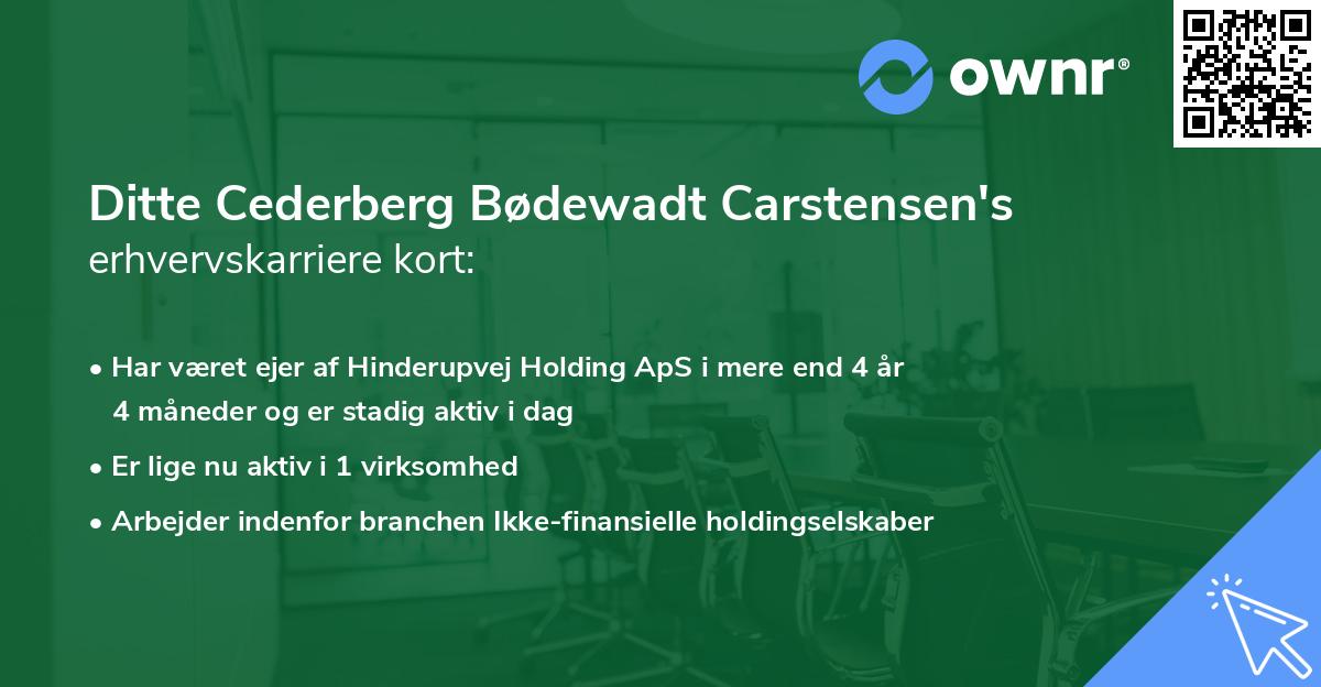 Ditte Cederberg Bødewadt Carstensen's erhvervskarriere kort