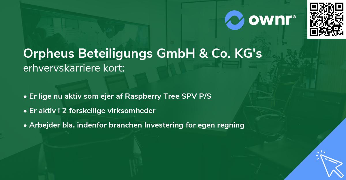 Orpheus Beteiligungs GmbH & Co. KG's erhvervskarriere kort