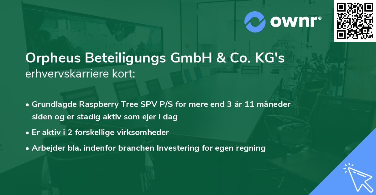 Orpheus Beteiligungs GmbH & Co. KG's erhvervskarriere kort