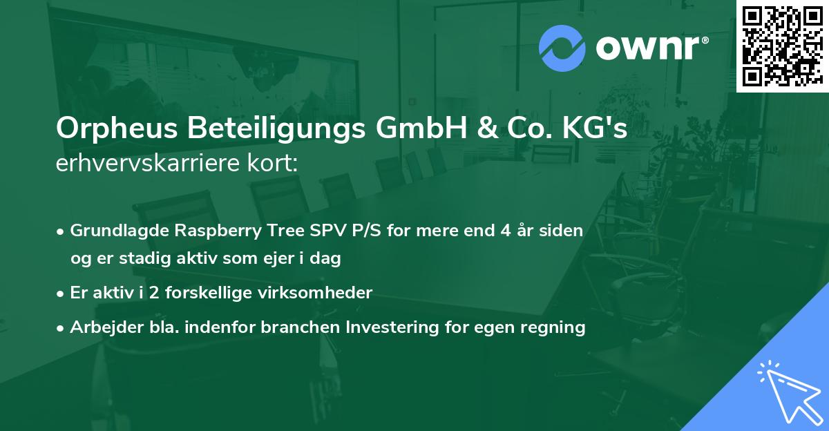 Orpheus Beteiligungs GmbH & Co. KG's erhvervskarriere kort
