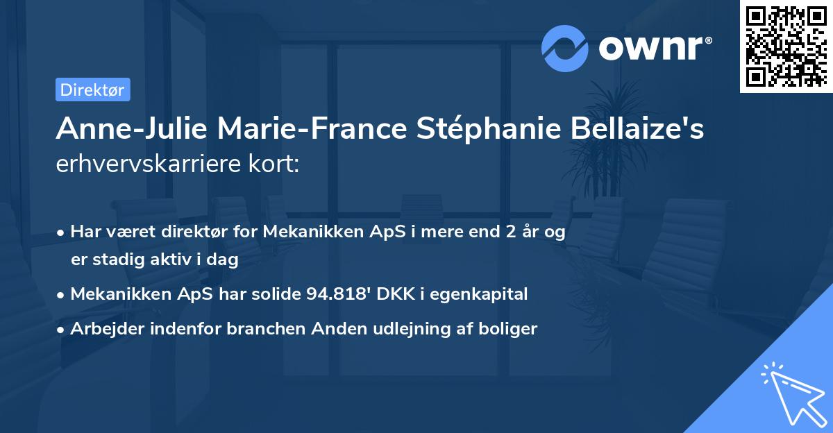 Anne-Julie Marie-France Stéphanie Bellaize's erhvervskarriere kort