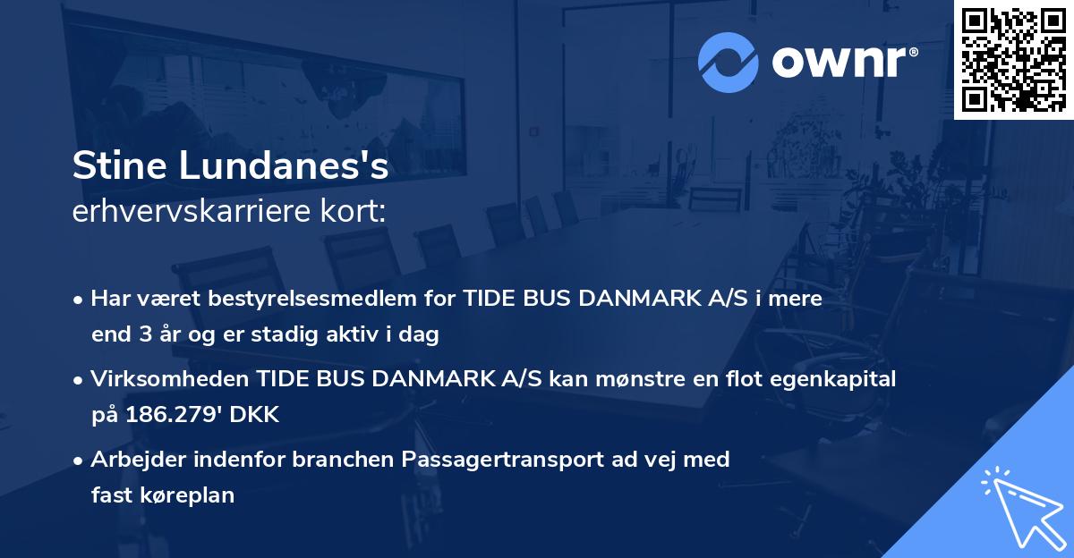 Stine Lundanes's erhvervskarriere kort