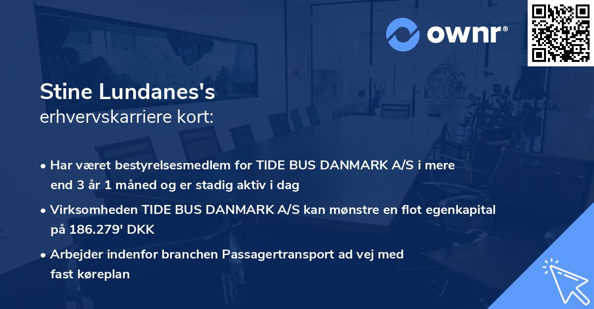 Stine Lundanes's erhvervskarriere kort