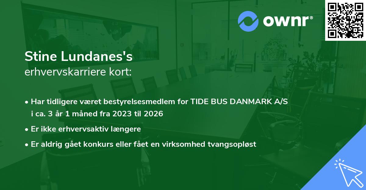 Stine Lundanes's erhvervskarriere kort